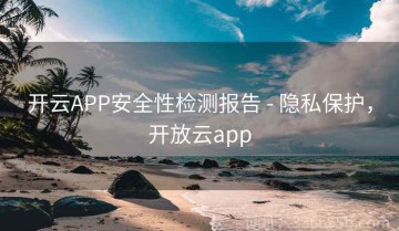 开云APP安全性检测报告 - 隐私保护，开放云app