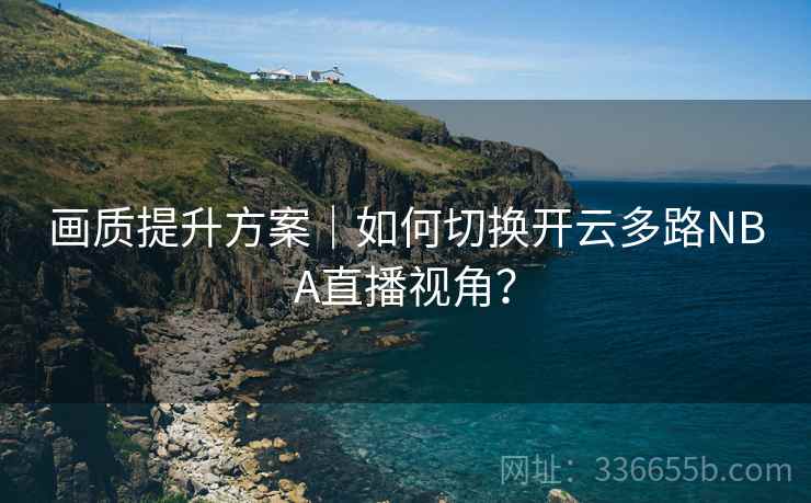 画质提升方案｜如何切换开云多路NBA直播视角？