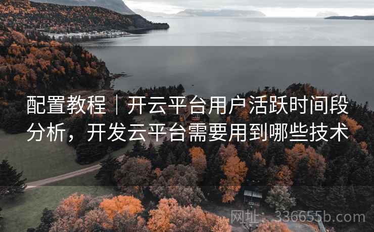 配置教程｜开云平台用户活跃时间段分析，开发云平台需要用到哪些技术