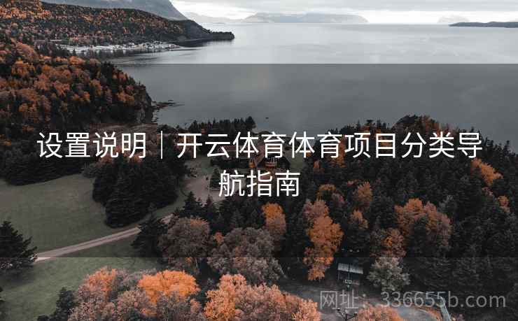 设置说明｜开云体育体育项目分类导航指南