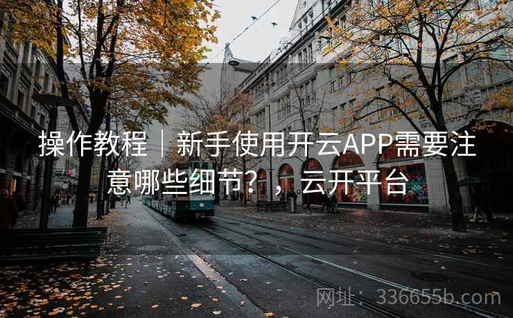 操作教程｜新手使用开云APP需要注意哪些细节？，云开平台
