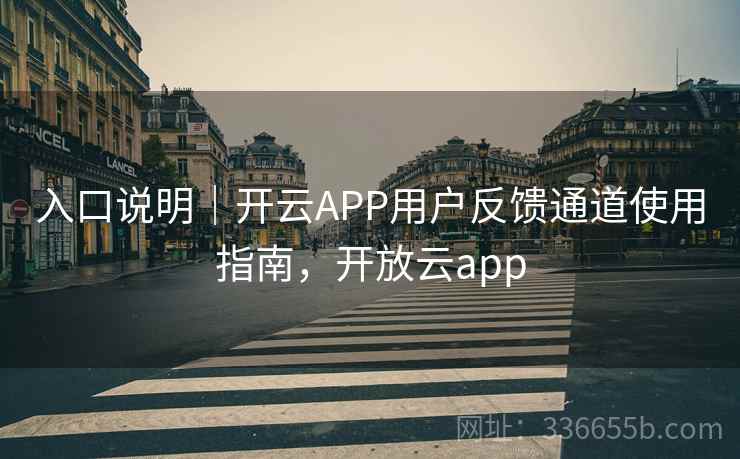 入口说明｜开云APP用户反馈通道使用指南，开放云app